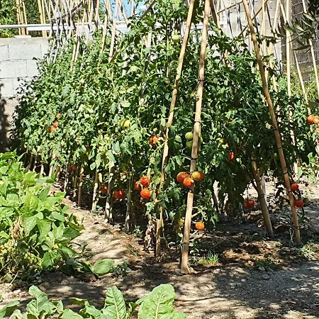 Click In Stobrec Next To Apartment *