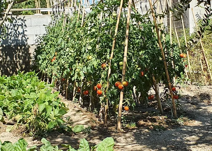 Click In Stobrec Next To Apartment *